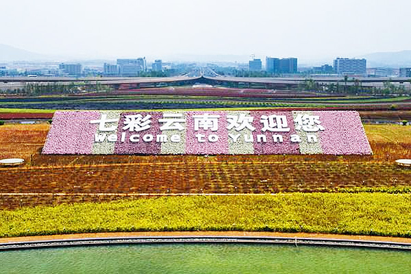 云南一制藥企業用20噸臥式燃氣蒸汽鍋爐